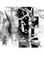Moment of Stillness