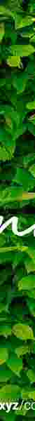 Greenward | 2022