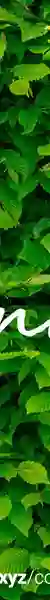 Greenward | 2022