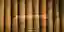 Bamboo Central competition banner