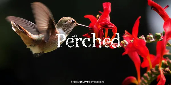 Perched competition banner