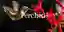 Perched competition banner