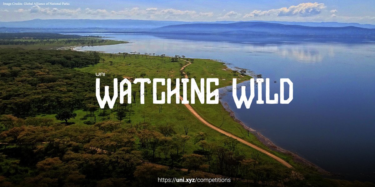Watching Wild