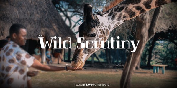 Wild Scrutiny competition banner