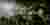 Artificial Decay competition banner