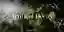 Artificial Decay competition banner