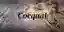 Coequal competition banner