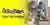 Sbabam New Toy Design competition banner