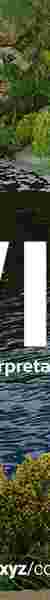 WIC