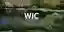 WIC competition banner