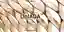 UnIADA '20 competition banner