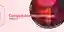 Computable Morphologies - Chapter 1 competition banner