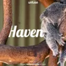 Haven 2020