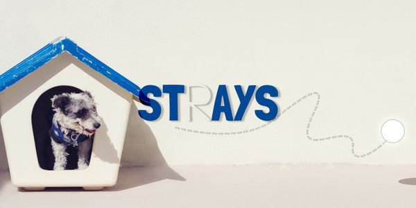 Strays 2020 competition banner