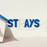 Strays 2020