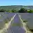 Jardin de Villars Contest