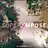 Superimpose