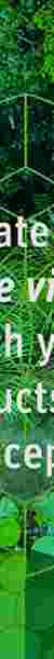 Green Concept Award Call 2021