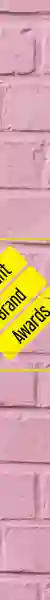 Brilliant Brand Awards '20