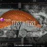 Terra x Terra