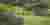Pearls of green competition banner