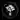 TerraViva logo